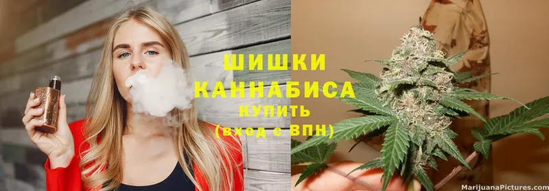 Шишки марихуана THC 21%  Кандалакша 